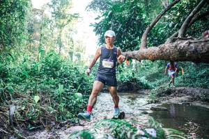 BIB: 
                            <button type="button" onclick="openModal(25431997)" class="btn btn-primary btn-sm float-right btn-popup" data-toggle="modal" data-target=".modal-high-quality">
                        <i class="fas fa-shopping-cart"></i> Add to Cart
                    </button>
                                            <button type="button" onclick="isThisMe(25431997, true)" class="btn btn-success btn-sm float-right btn-popup btn-isme hidden" data-toggle="tooltip" data-placement="bottom" title="นี่คือรูปของคุณใช่ไหม คลิกที่นี่เพื่อเอาเข้าอัลบั้ม">
                        <i class="fas fa-plus"></i> Add to album
                    </button>
                    <button type="button" onclick="isThisMe(25431997, false)" class="btn btn-warning btn-sm float-right btn-popup btn-isnotme hidden">
                        <i class="fas fa-ban"></i> Remove from album
                    </button>